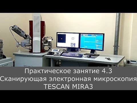 Видео: Электронная микроскопия. Практика 4.3