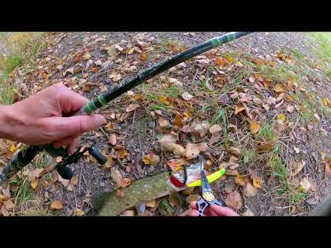 Видео: "По щучьему велению, по моему хотению, плыви рыба, подрастай дальше"