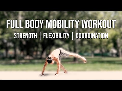 Видео: Тренировка на мобильность всего тела – Передвижение животных