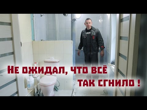Видео: Про горы кроличьего золота, поросят - путешественников и сгнивший дом в городе!