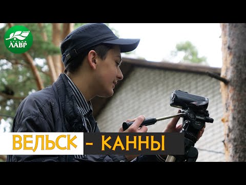Видео: Вельское кино в Каннах! "Не вошло, а жалко"