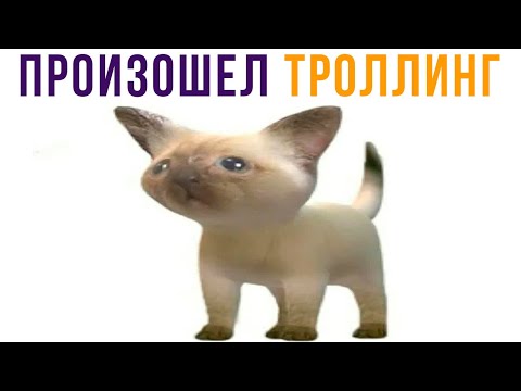 Видео: Произошёл троллинг) Приколы | Мемозг 603