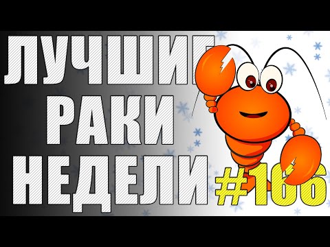 Видео: ЛРН выпуск №166. ЧЕЛОВЕК-ЛОГИКА и КОРРЕКТНАЯ СИСТЕМА АВТОБАНА [Лучшие Раки Недели]