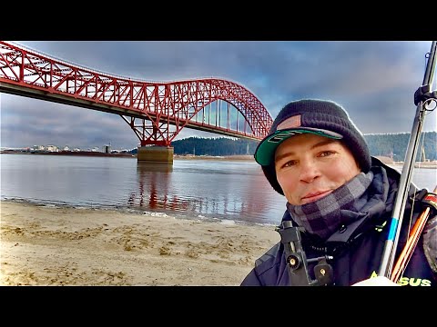 Видео: КЛЁВ С ПЕРВОГО ЗАБРОСА! РЫБАЛКА ПОД МОСТОМ В ХАНТЫ-МАНСИЙСКЕ!