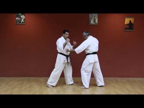 Видео: Техника Киокушинкай: Шита Цуки 1. Сенсей Армен Аванов. Сенпай Игорь Голдман.