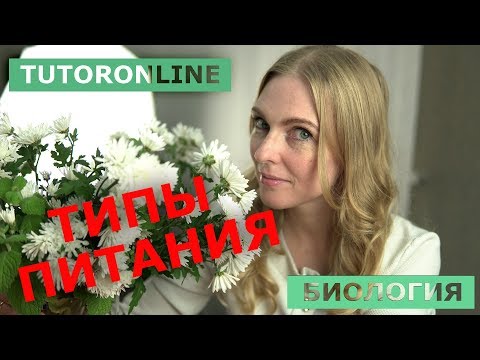 Видео: Биология | Типы питания. Гетеротрофы и автотрофы