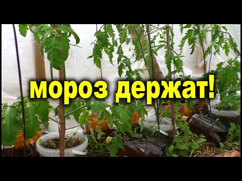 Видео: Бесплатное отопление теплицы! Как пережить мороз!