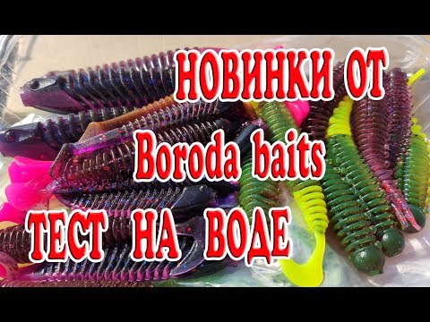 Видео: Новинки от Boroda baits. Тест на воде 2019