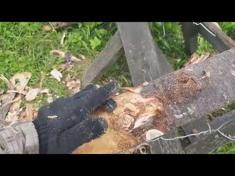 Видео: как легко снять кору со старого горбыля