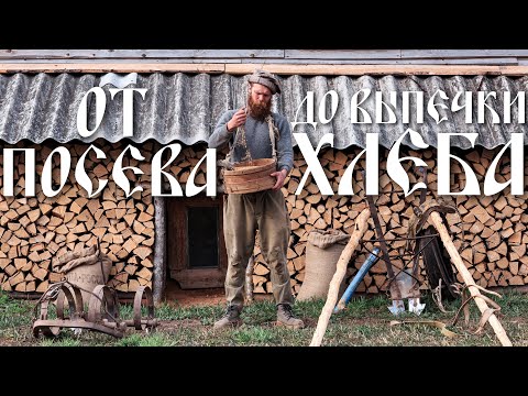 Видео: ОТ ПОСЕВА ДО ВЫПЕЧКИ ХЛЕБА / FROM SOWING TO BAKED BREAD