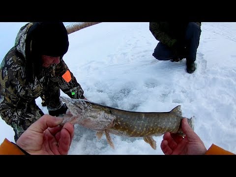 Видео: озеро Круглое,разведка нового места,это называется неудачная рыбалка.