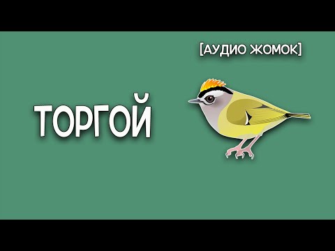 Видео: ТОРГОЙ [АУДИО ЖОМОК]