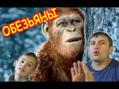 Видео: Эволюция ОБЕЗЬЯН спасение ДЕТЕНЫША  (ANCESTORS)