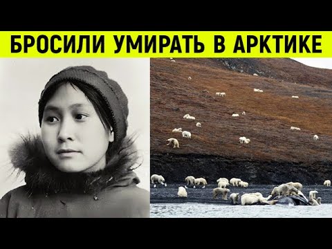 Видео: Ее оставили в Арктике наедине с белыми медведями, а через 2 года вернулись и вот что обнаружили…