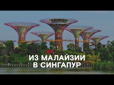 Видео: Этот город СТОИТ ПОСЕТИТЬ хотя бы РАЗ В ЖИЗНИ КАЖДОМУ! / В Сингапур БЕЗ ВИЗЫ в 2023