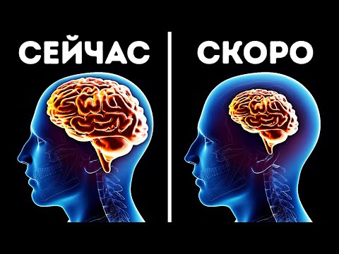 Видео: Реальная правда о распространённых мифах