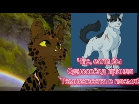 Видео: КВ теория: "Что, если бы Однозвёзд принял Темнохвоста в племя?" (Чит. Опис)