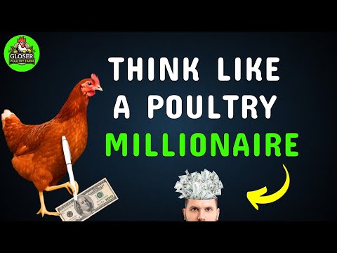 Видео: 10 изменений мышления, направленных на достижение богатства, которые нужны каждому птицеводу