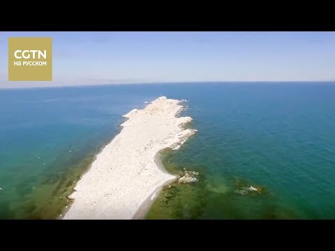 Видео: Сила природы Серия 3 Водный поток Часть 2 [Age0+]