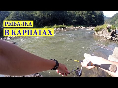 Видео: Рыбалка со Спиннингом на Горной Реке #1 Яремче. Ловля Голавля.