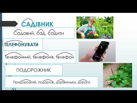 Видео: Будова слова(частина 3). Корінь слова.
