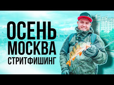 Видео: Осень. Москва. СтритФишинг. Испытываю Yamaga Blanks BlueCurrent 60 Junior в джиге