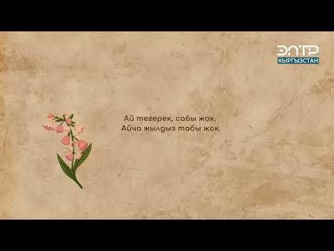 Видео: 28 июня 2024 г.