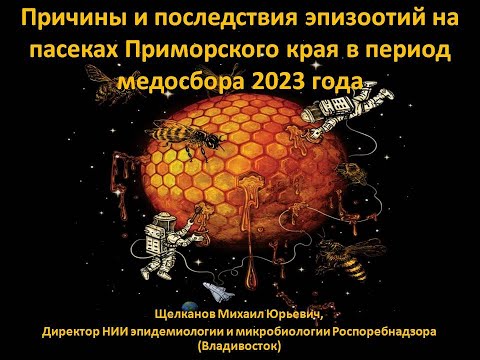 Видео: Щелканов М.Ю. Причины и последствия эпизоотий среди медоносных пчел на пасеках Приморского края 2023