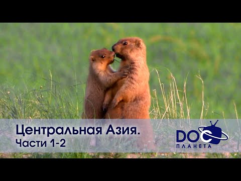 Видео: Центральная Азия.Дух дикой природы.Часть 1,2 - Документальный фильм - Сборник