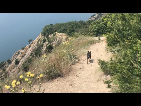 Видео: Прогулка по окрестностям Абрау-Дюрсо