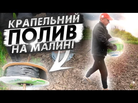 Видео: ☑️Легкий монтаж крапельного поливу на малині. Крапельне зрошення за 20 хвилин.
