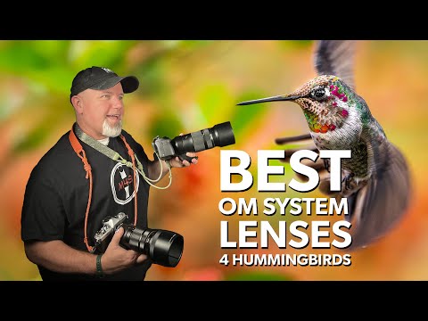 Видео: Лучшие объективы OM для фотосъемки колибри — руководство по выбору объектива Micro Four Thirds!
