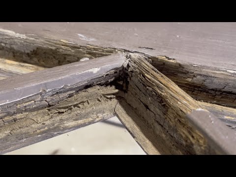 Видео: Это дерево было ТАК ГНИЛО! Можно ли его починить?