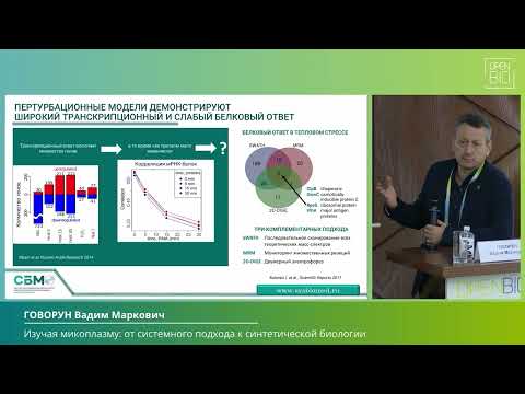 Видео: 25.09 ГОВОРУН Вадим Маркович — ПЛЕНАРНЫЙ ДОКЛАД