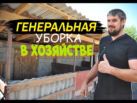 Видео: Воскресная генеральная уборка в хозяйстве. Рассадил овец,убрал свиней,вывожу нутрий.