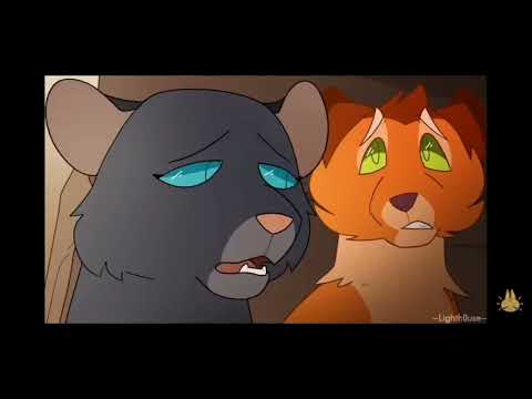 Видео: что не так с catwar?