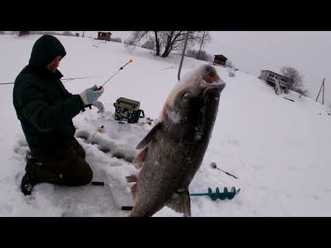Видео: рыбалка на толстолоба