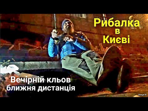 Видео: Фідерна риболовля в Києві на Дніпрі, що перевершила очікування