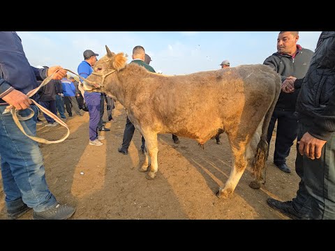 Видео: МОЛБОЗОРИ ХУЧАНД ХУДЖАНД в прямом эфире!