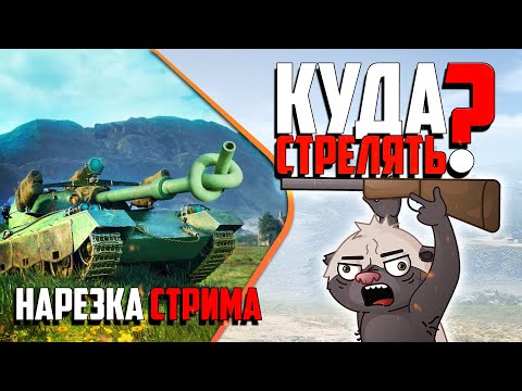 Видео: Нарезка стрима | Медоедиха - наводчик, Медоед - мехвод. КОТОПЁС в WoT