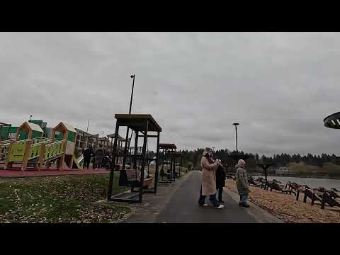 Видео: 4 ноября 2025 г.