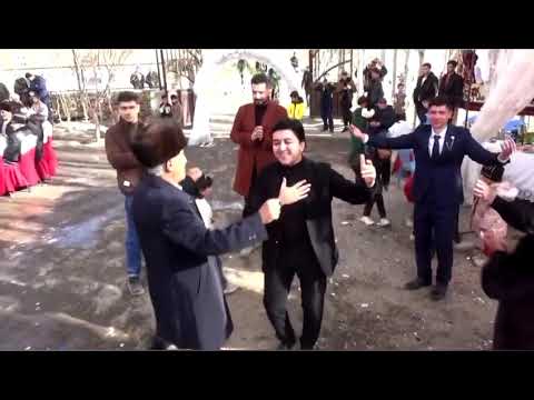 Видео: Туй: Гузари Бод