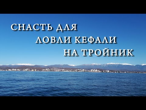 Видео: Снасть для ловли кефали на тройник