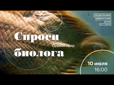 Видео: Спроси биолога. Живые ископаемые