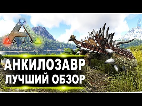 Видео: Анкилозавр Ankylosaurus в АРК  Лучший обзор приручение, разведение и способности  в ark