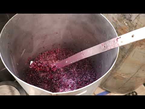 Видео: Сагрантино. Лидер сезона!!!