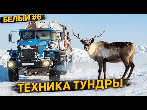 Видео: БРОШЕННАЯ ТЕХНИКА В АРКТИКЕ. МАССОВАЯ ГИБЕЛЬ ОЛЕНЕЙ В ЯМАЛЬСКОЙ ТУНДРЕ. О.БЕЛЫЙ #6