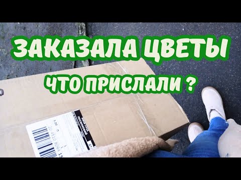 Видео: Распаковка комнатных растений в январе. ВЫЖИЛИ или ЗАМЕРЗЛИ? #Распаковка #комнатныецветы