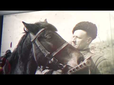 Видео: Починковский конный завод. Сохраняя золото