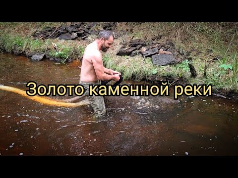Видео: Золото каменной реки